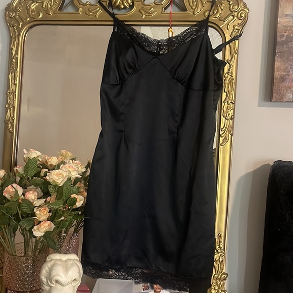 Wild Fable - Picture 3 of 3